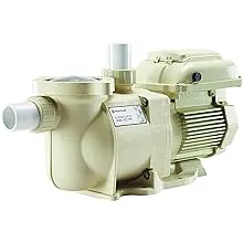 Pentair Superflo VS Variable Speed Pool Pump 342001