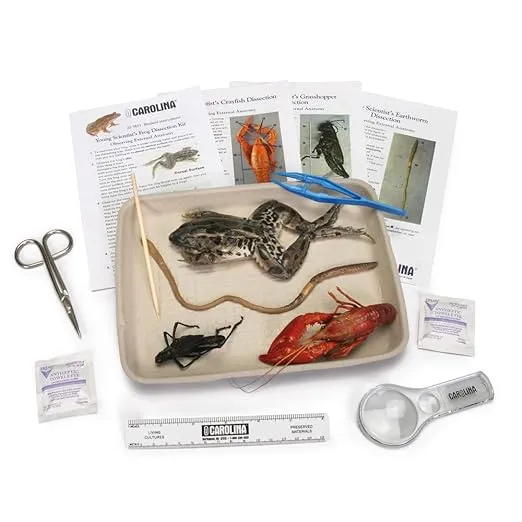 Carolina's Young Scientist™ Animal Dissection Kit, 4 Preserved Animals