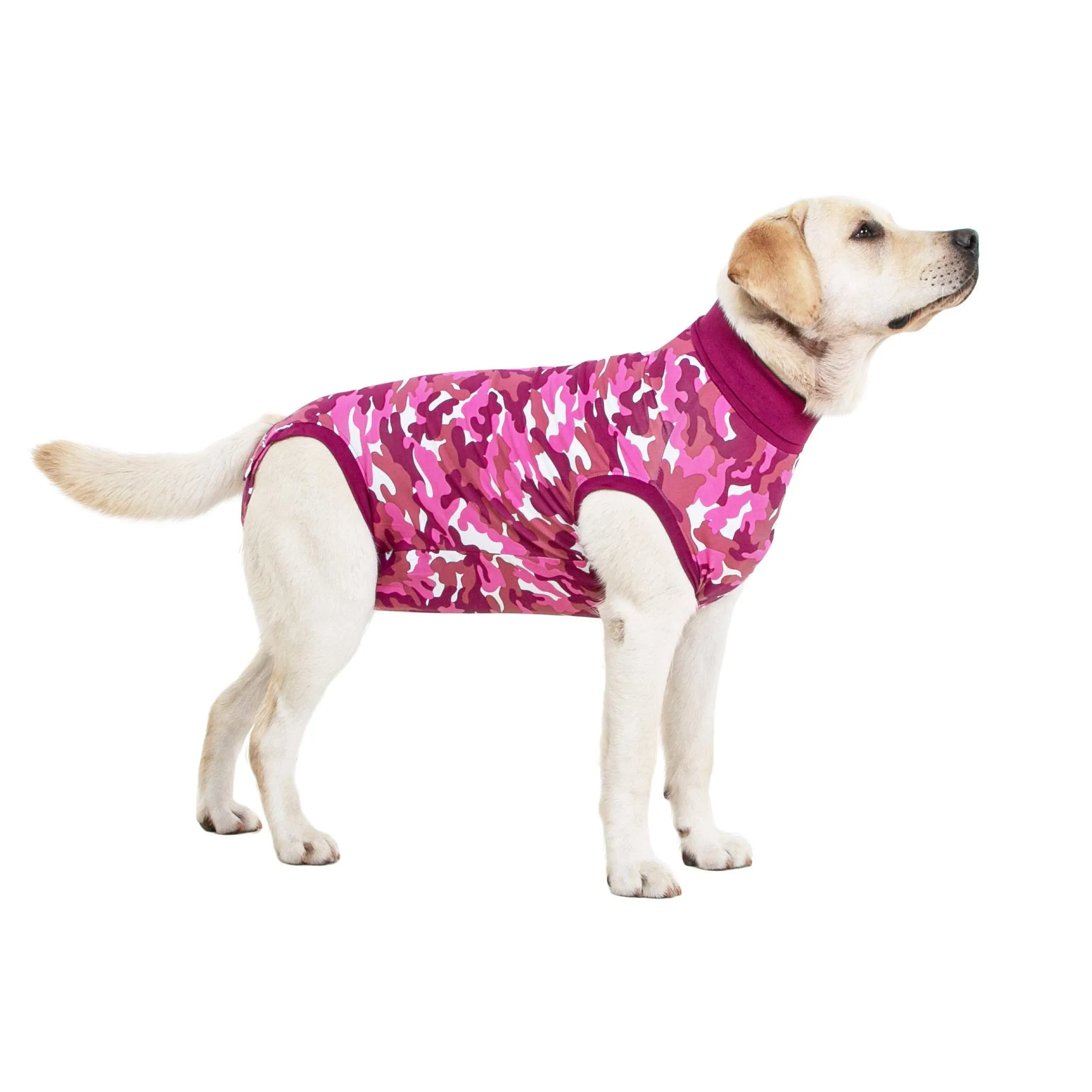 Suitical Recovery Suit for Dogs | Spay and Neutering Dog Surgery.Recove<wbr/>ry Suits.