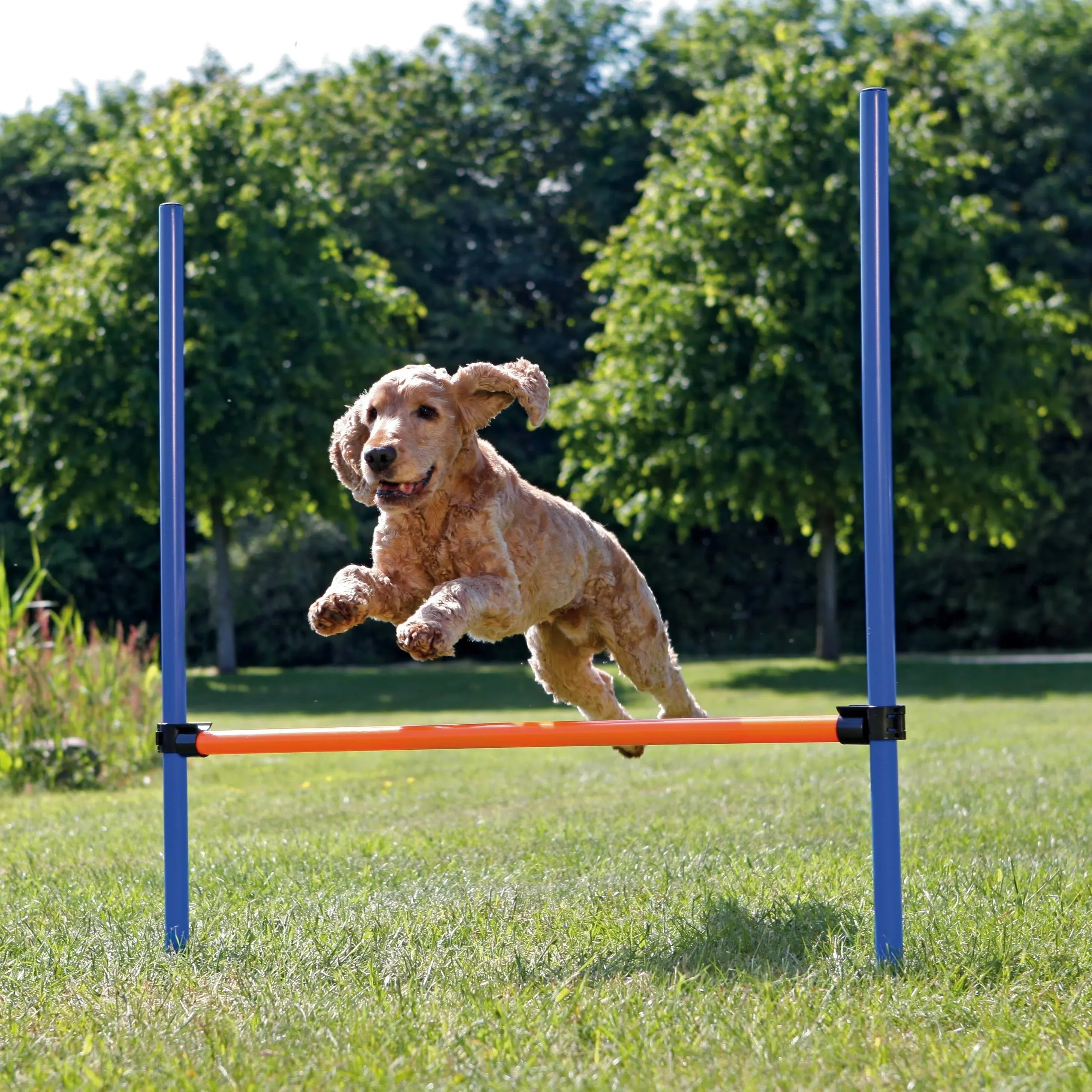 Dog Agility Hurdle, Portable Dog Agility Training, Adjustable Jumper, Exercise T