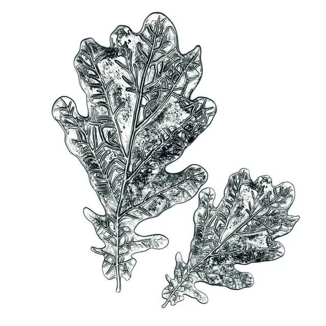 Tim Holtz Oak Leaf 3D Impresslit Embossing Folder