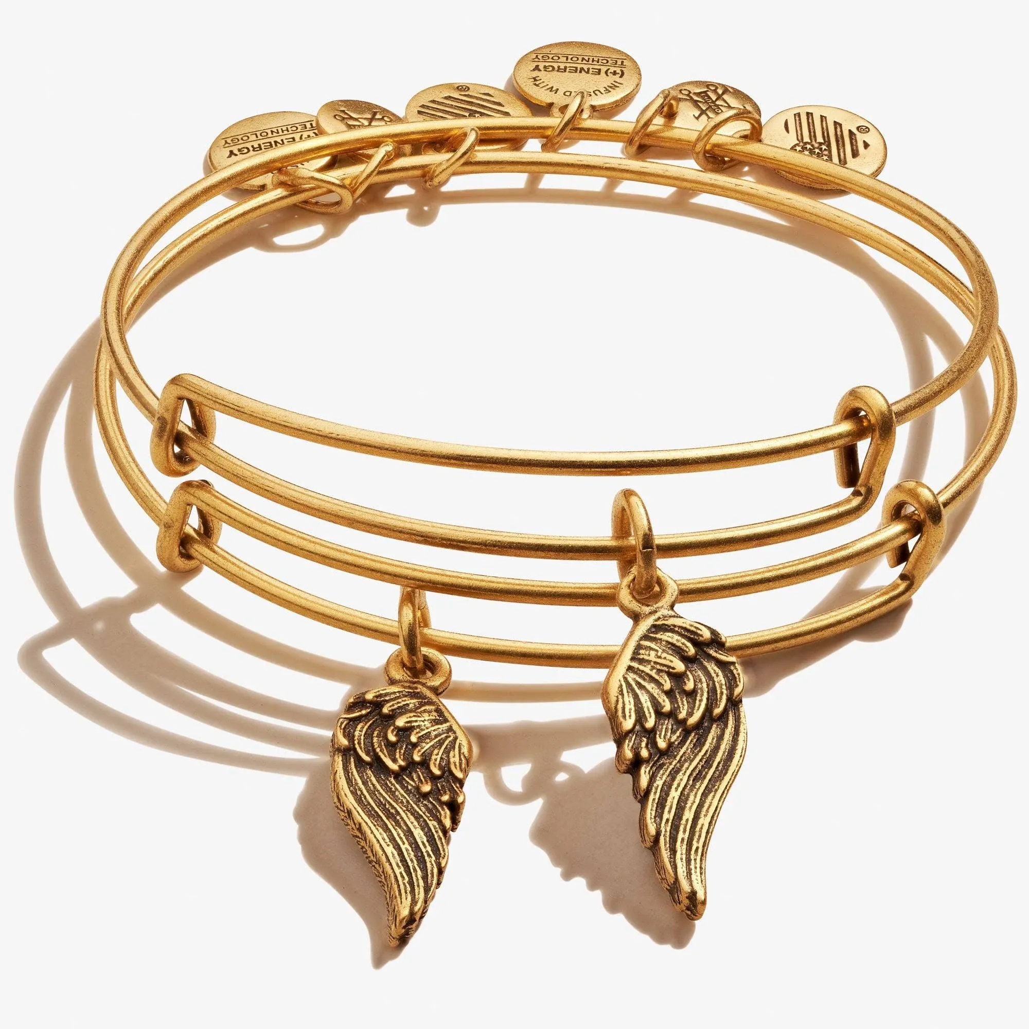 Alex and Ani "Path of Symbols" Wings Set of 2 Gold Expandable Wire Bangle Charm Bracelet