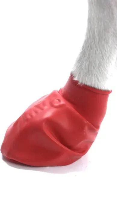 Pawz - Dog Boots Small - Red