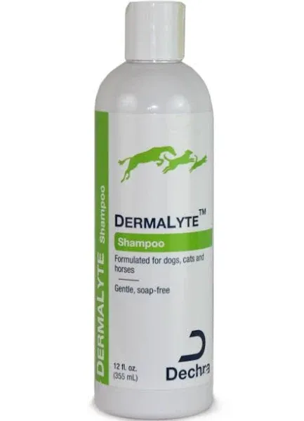 DermaLyte Shampoo 12 oz