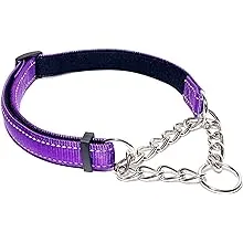 Martingale Dog Collar Nylon Reflective and Chain Training Large Dogs Strong SML