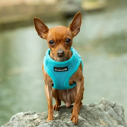 Mr. Peanut's PupTrek Small Dog/Cat Soft Mesh Step in Harness Vest (Small, Blue)