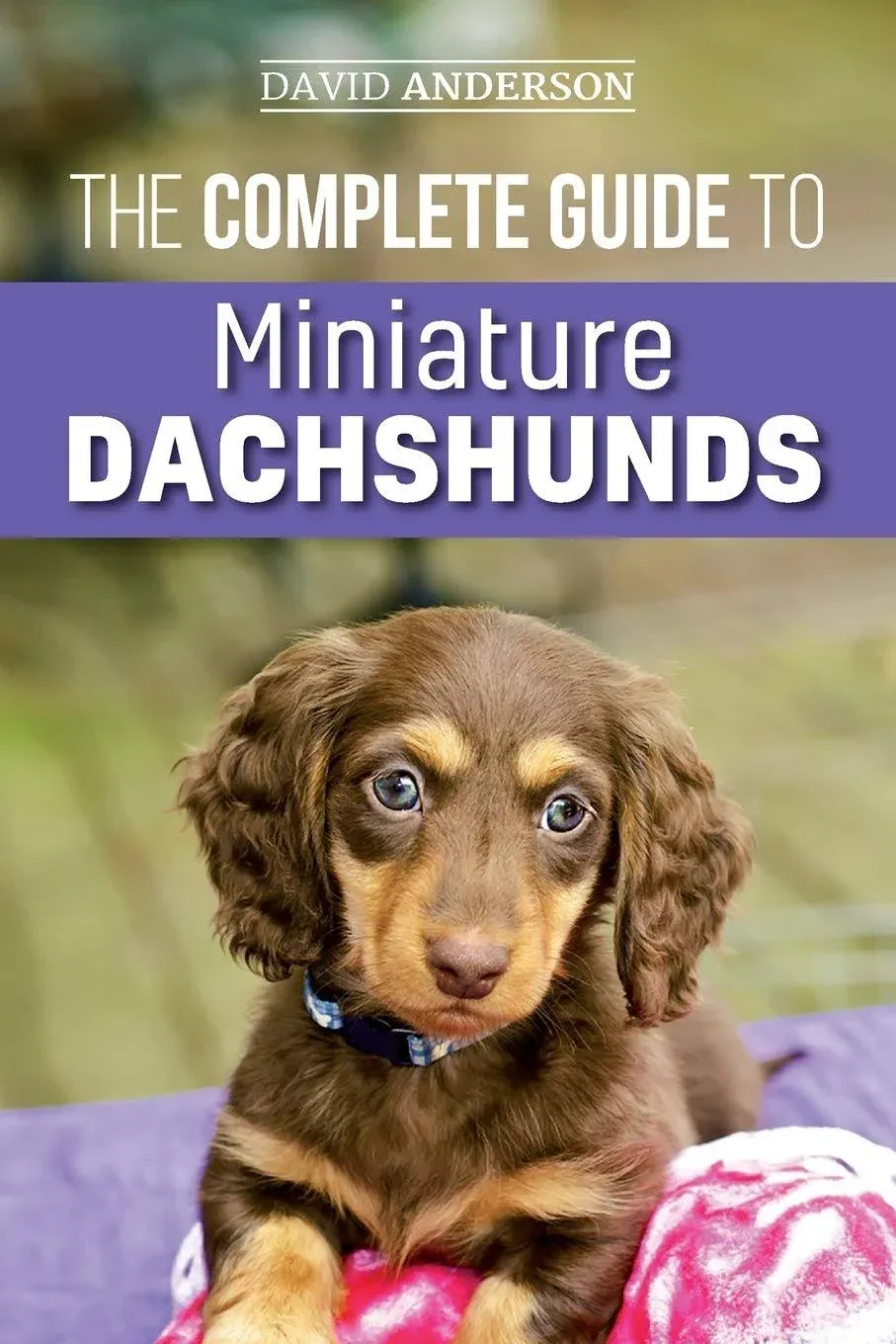 The Complete Guide to Miniature Dachshunds : A Step-by-Step Guide to Successfully Raising Your New Miniature Dachshund