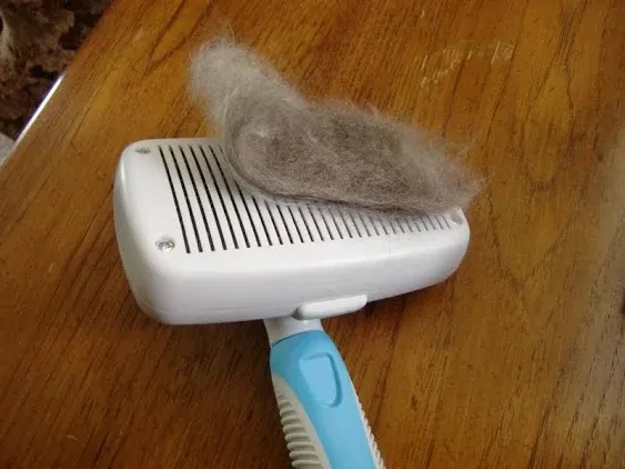 The Pet Portal Self Cleaning Dog Cat Long Haired Brush Shedding Slicker Grooming