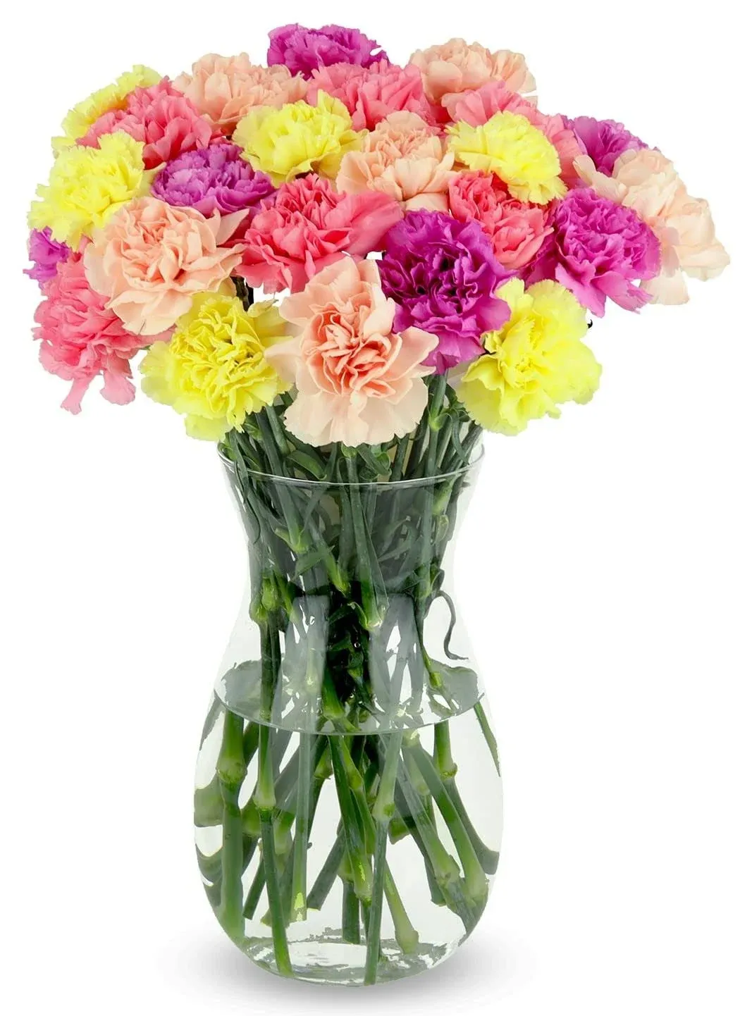 BENCHMARK BOUQUETS – 25 Stem Pastel Carnations Bouquet, Prime Delivery, Free... 