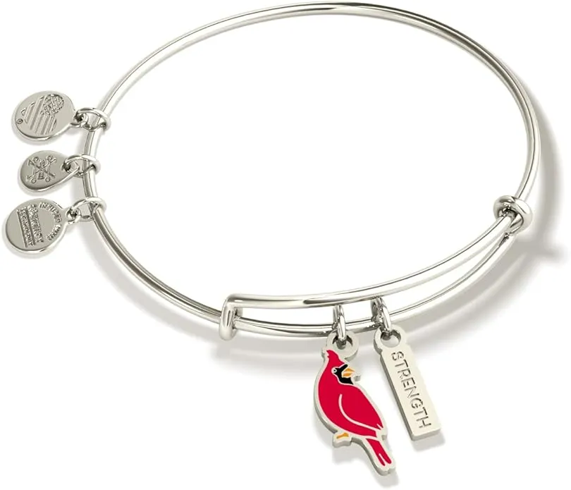 Alex and Ani Symbols and Tokens Expandable Bangle for Women, Cardinal Charm, Shiny Silver Finish, 2 to 3.5 in