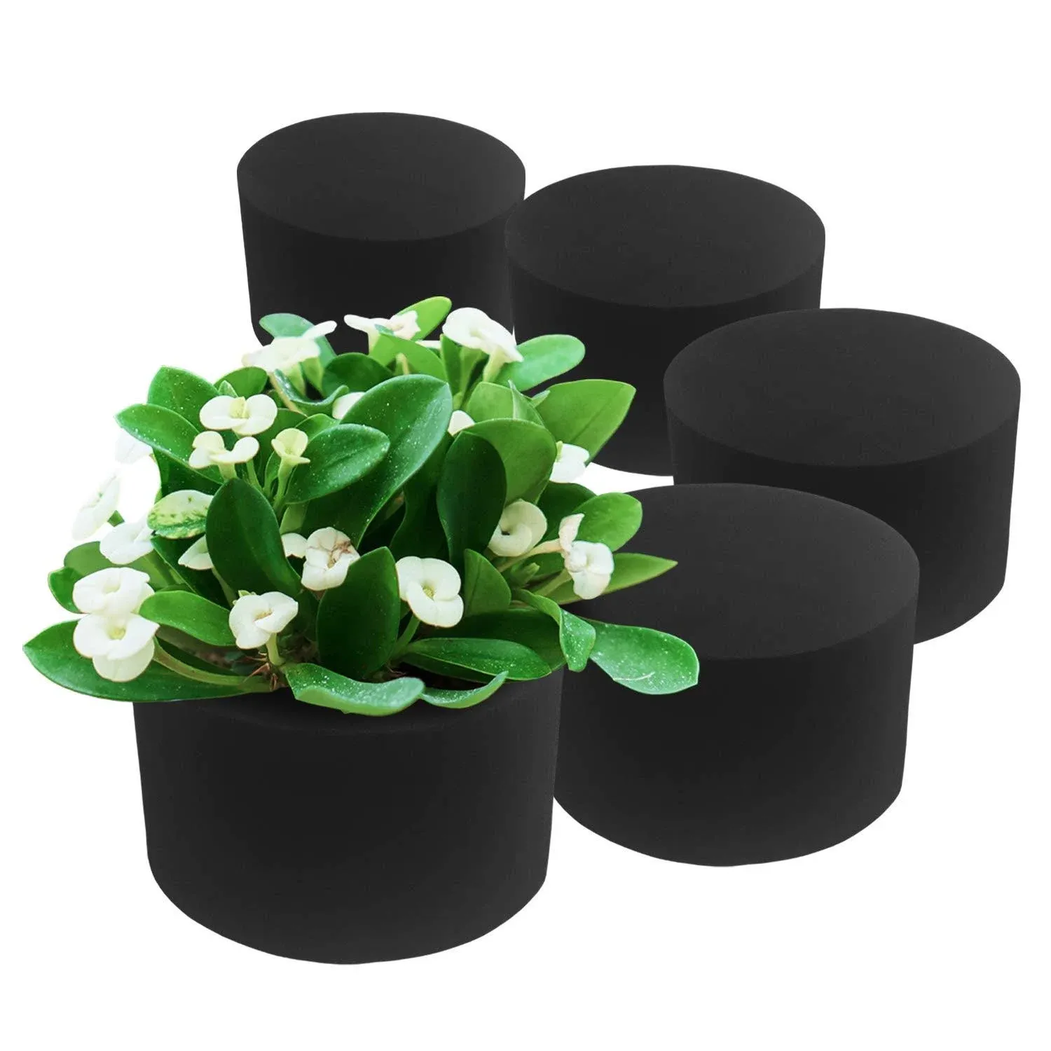 Xcel 6 Pack Round Floral Foam 5 x 3 Thick Floral Block for Artificial Flowers ...