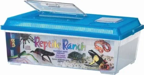 Lee's Reptile Ranch, Large, Rectangle with Lid, Colors may Vary