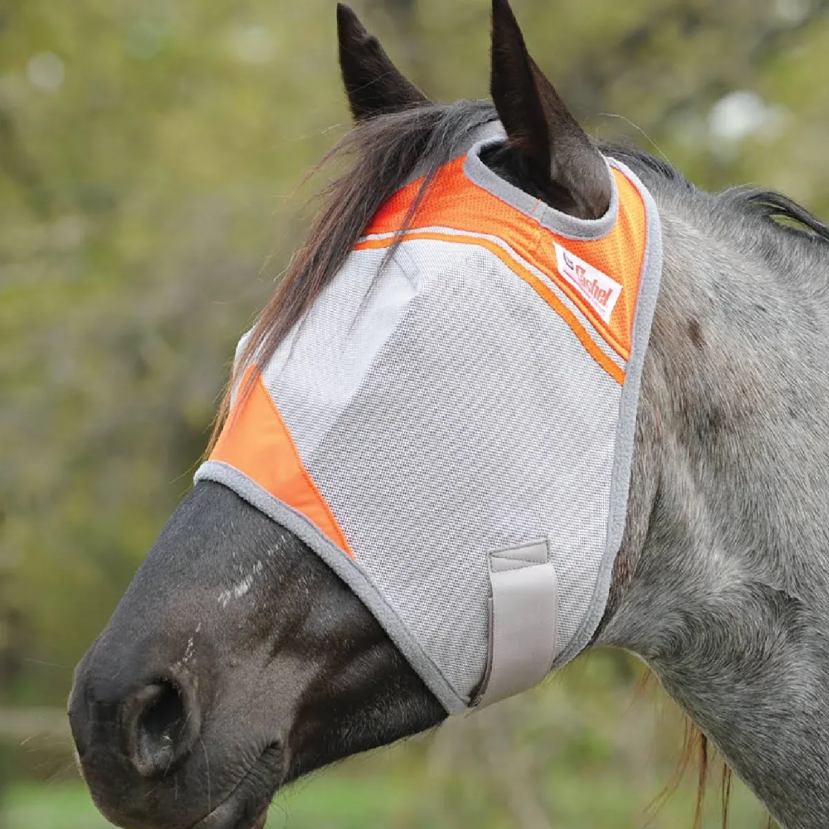 Cool Cashel Crusader Sun Fly Mask