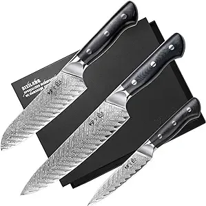 Knife Set, 3 PCS Professional Damascus Chef Knives, 67 Layer Japanese AUS10 Steel Core Forged Kitchen Knives, Well-Balanced Full Tang Handle Triple Rivet Handle - Black Gift Box