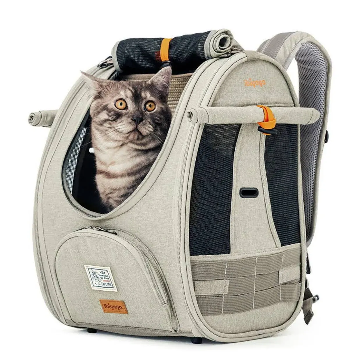 ibiyaya - Adventure Cat Carrier Backpack - Airline Approved Cat Backpack for Cats or Pets Under 19 Pounds - Ventilated Cat Backpack with Safety Tether, for Travel, Hiking, and Outdoor Use - Gray