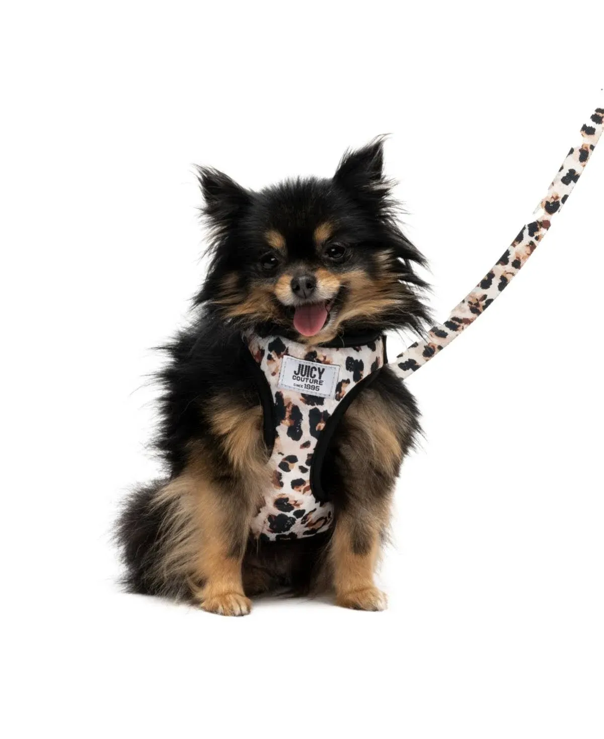 Juicy Couture Leopard Print Dog Harness and Leash Set