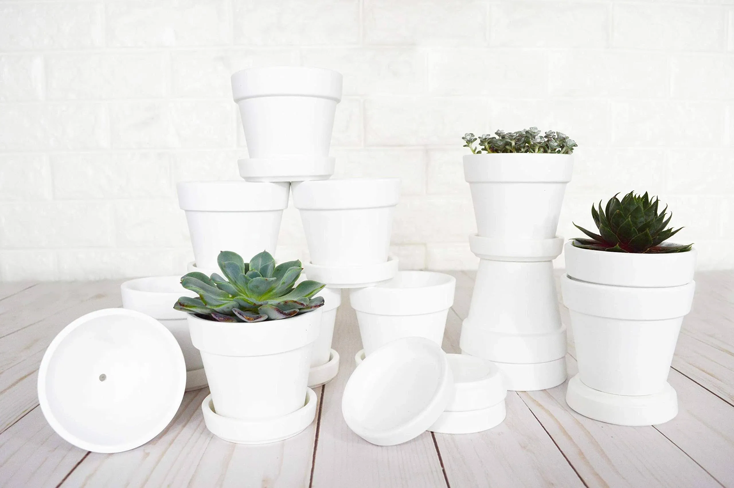 My Urban Crafts 3 inch Succulent Pots White Mini 12-Pack Round Ceramic Flower Pot ...