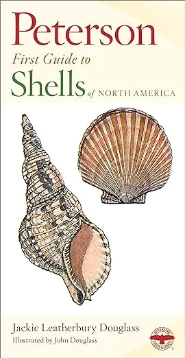 Peterson First Guide To Shells Of North America