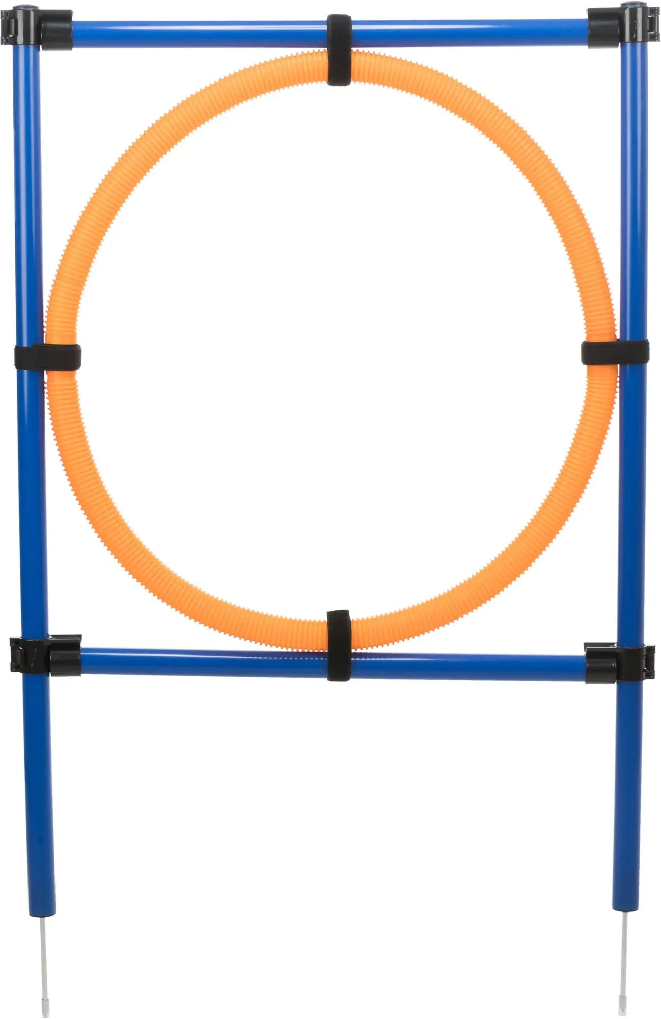 Dog Training and Activity Agility Set - Fully Adjustable