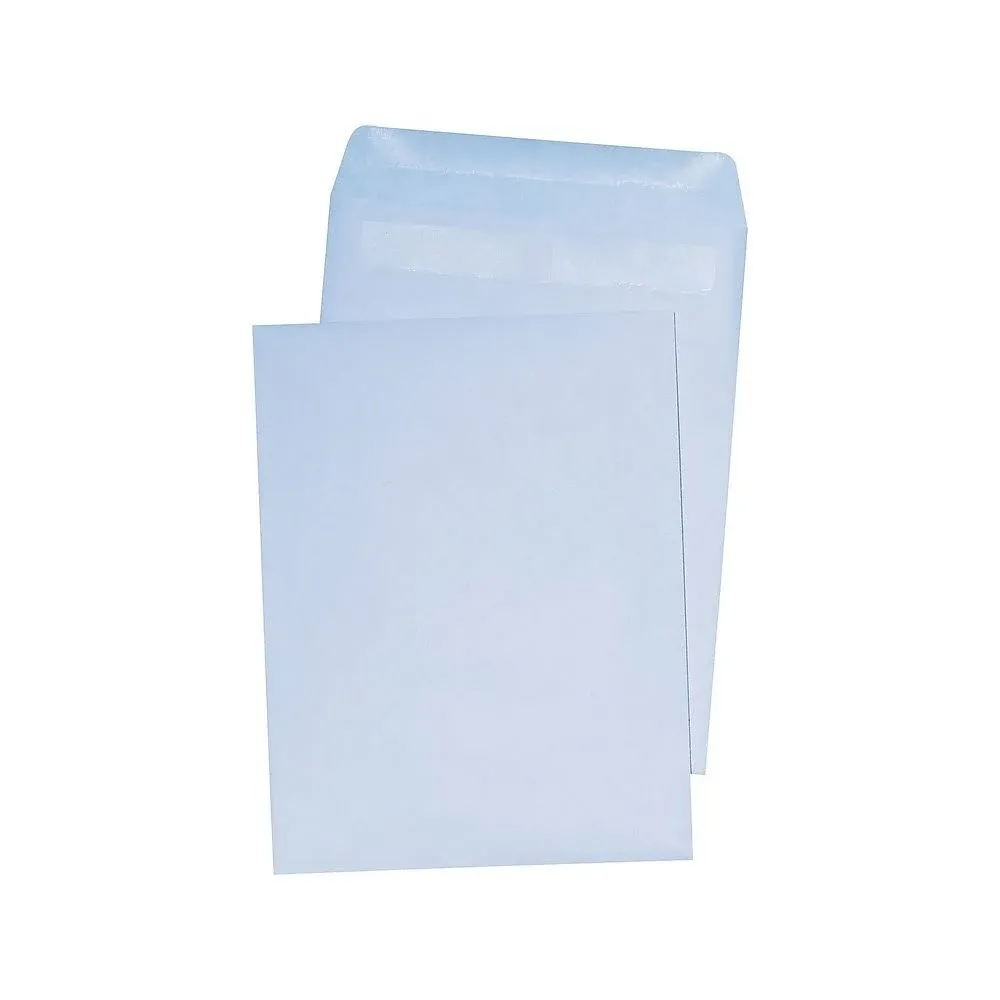 Staples Self-Sealing Catalog Envelopes