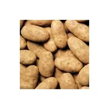 Russet Idaho Potatoes Fresh Premium Fruit and Produce Vegetables