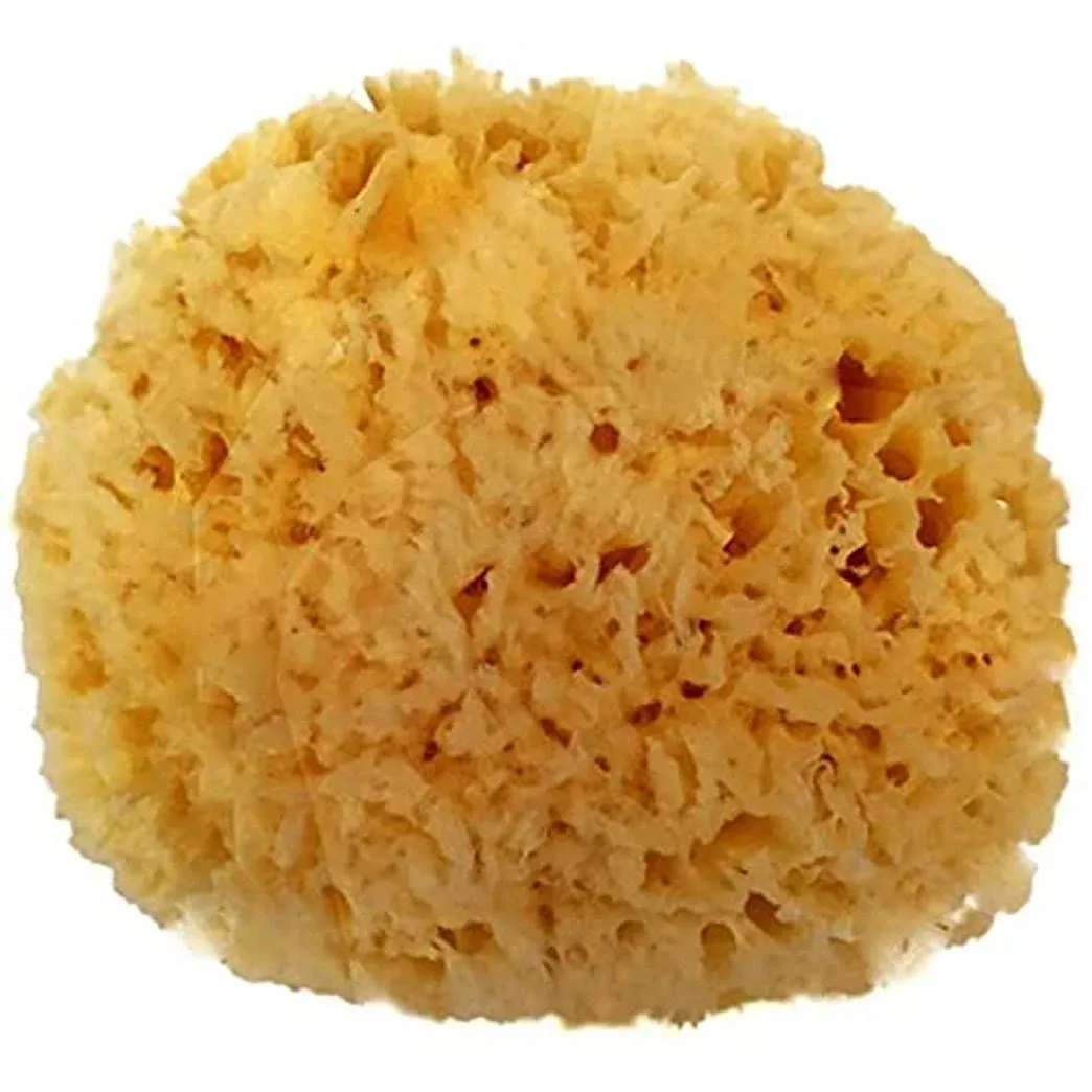 Spa Destinations Natural Sea Wool Sponge Natural Renewable Resource Bath & Shower