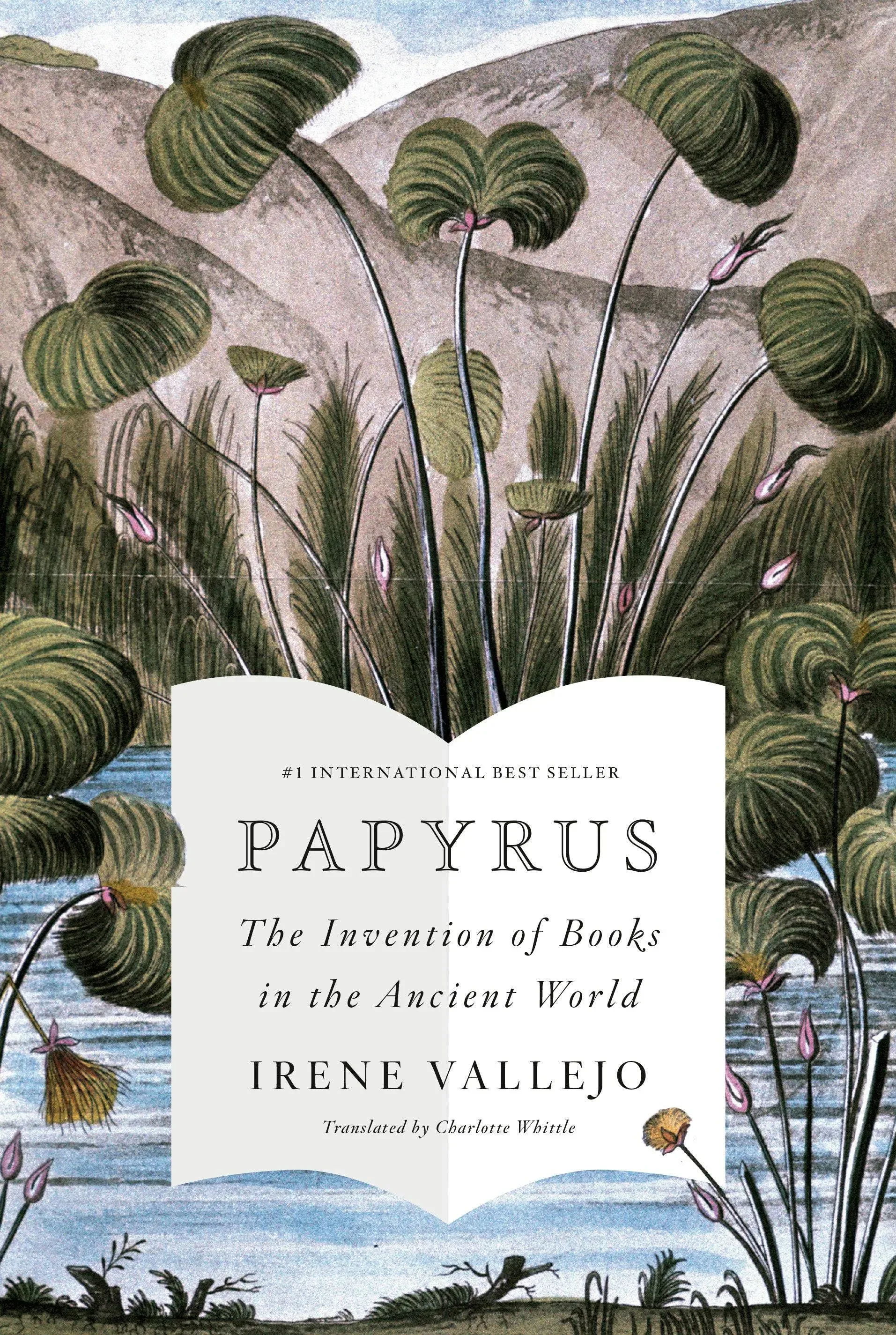 Papyrus: The Invention of Books in the Ancient World 