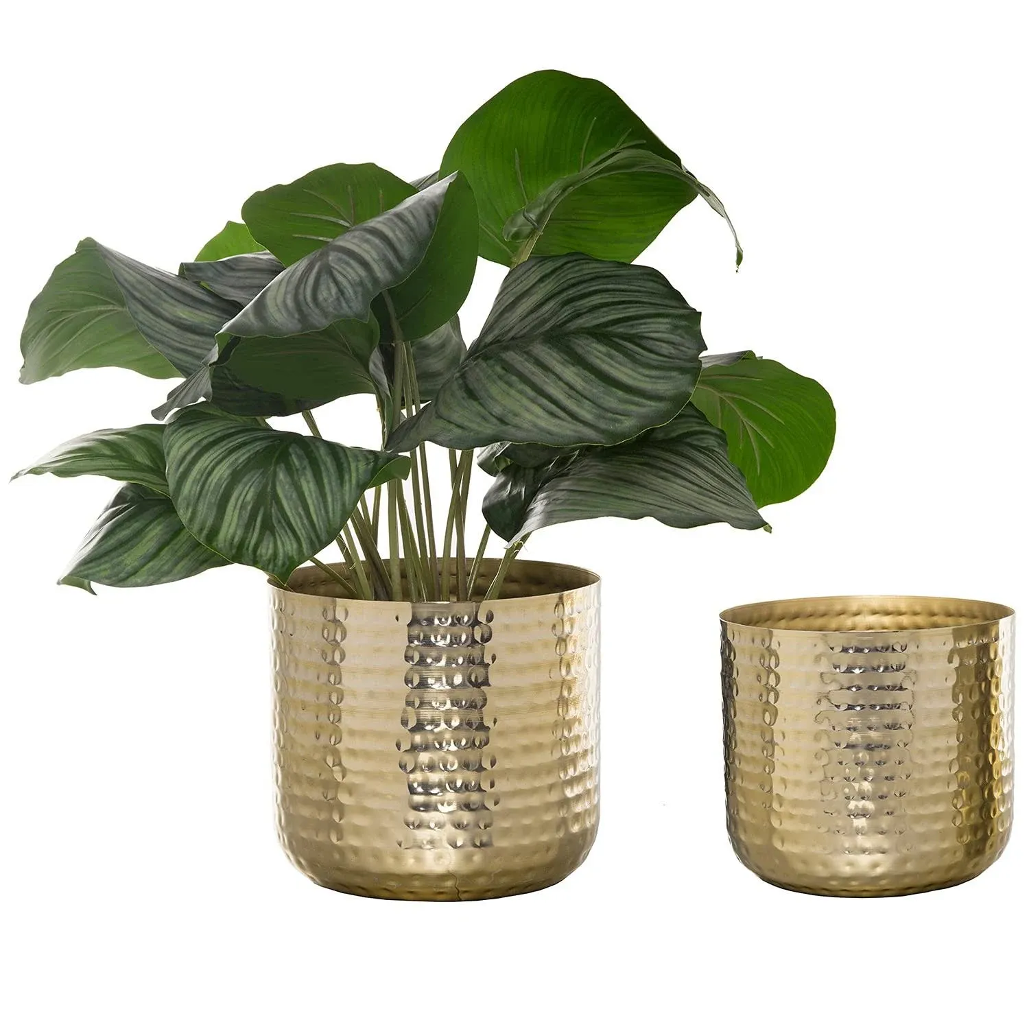 Hammered Brass Plated Metal Plant Pots for Indoor Plants, 6 and 5-Inch, Set of 2  | eBay