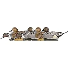 Avian X Topflight Pintail Duck Decoy 6 Pack