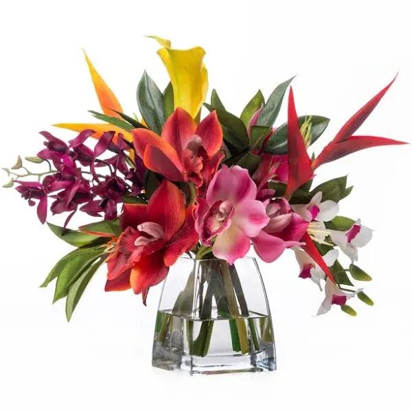 Petals Silkflowers Faux Orchids & Heliconia Tropical Flower Arrangement, Multi Color