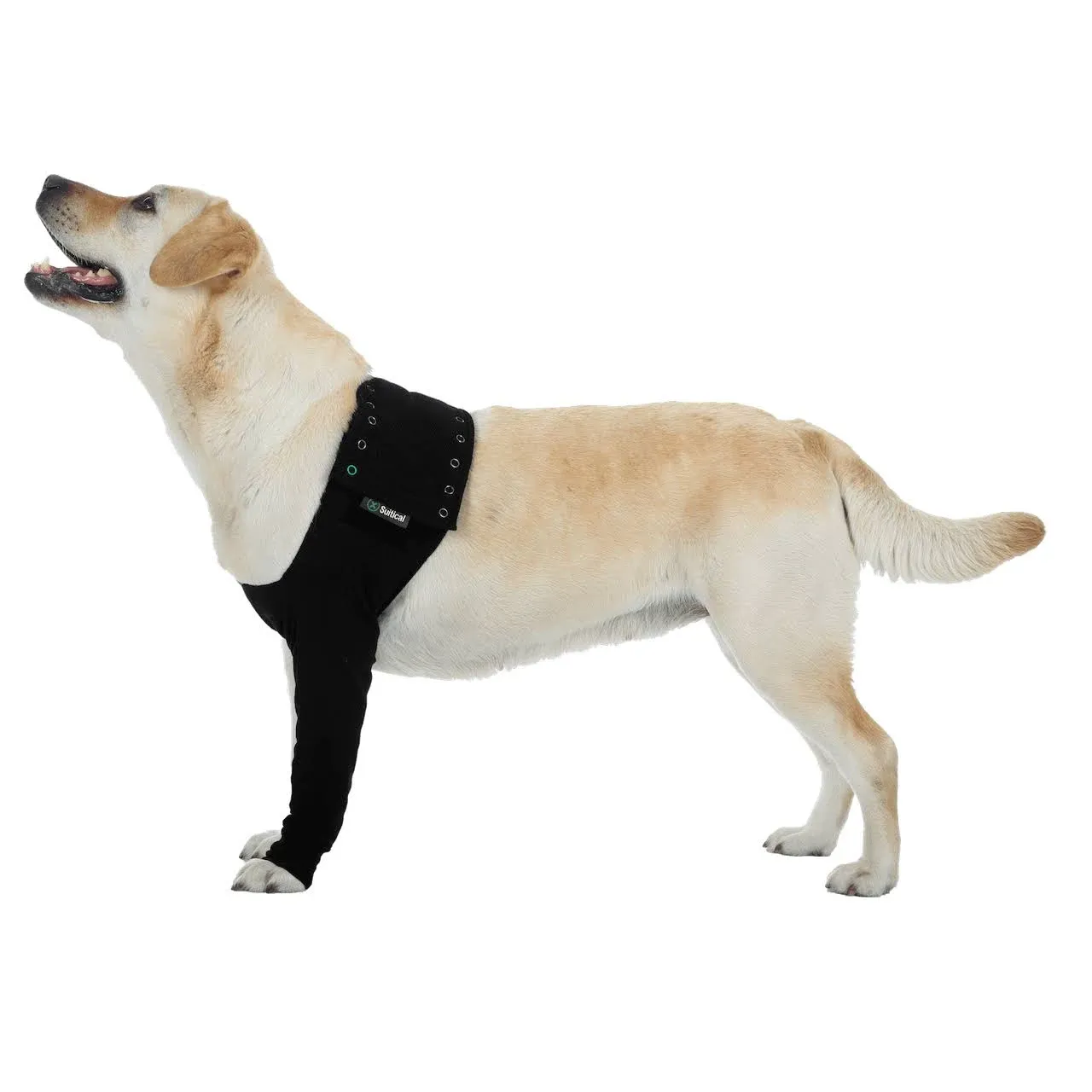 Suitical Dog Recovery Sleeve