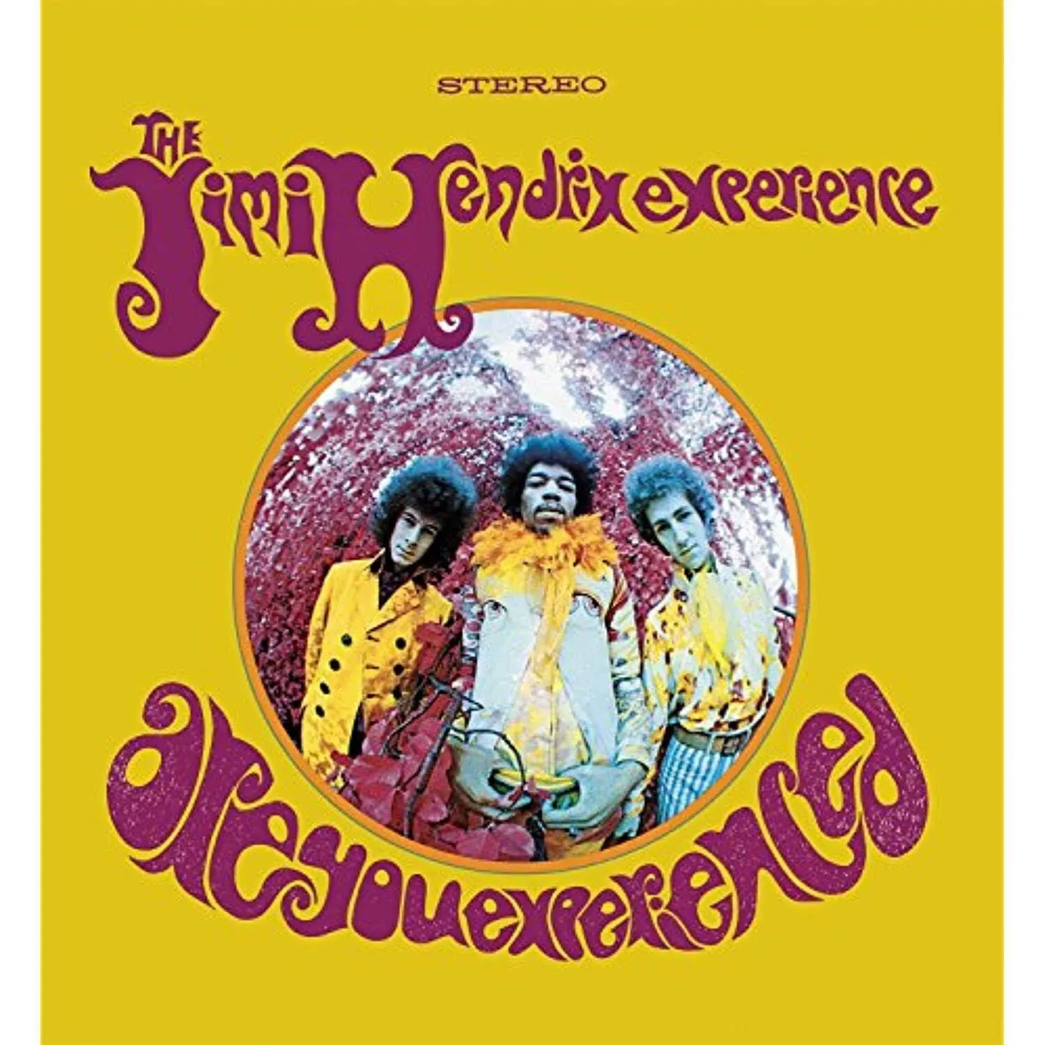 Are You Experienced