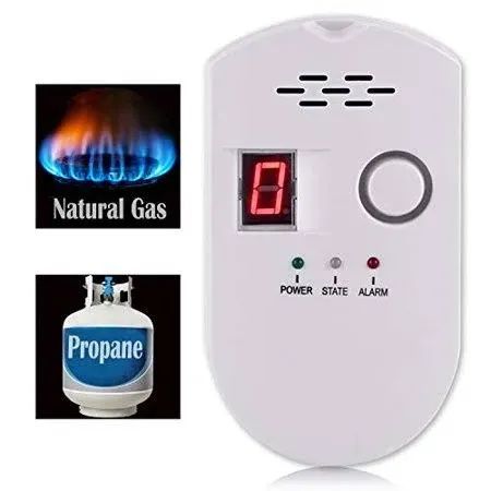 Ain Den Natural Gas Detector