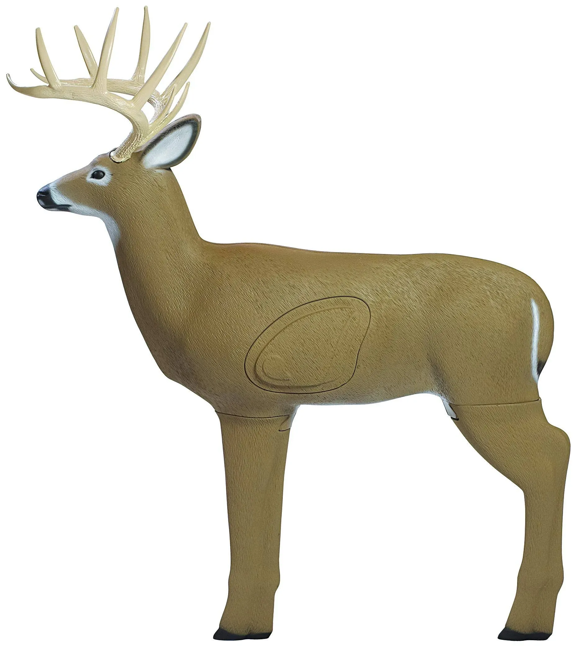 shooter Crossbow Buck Target