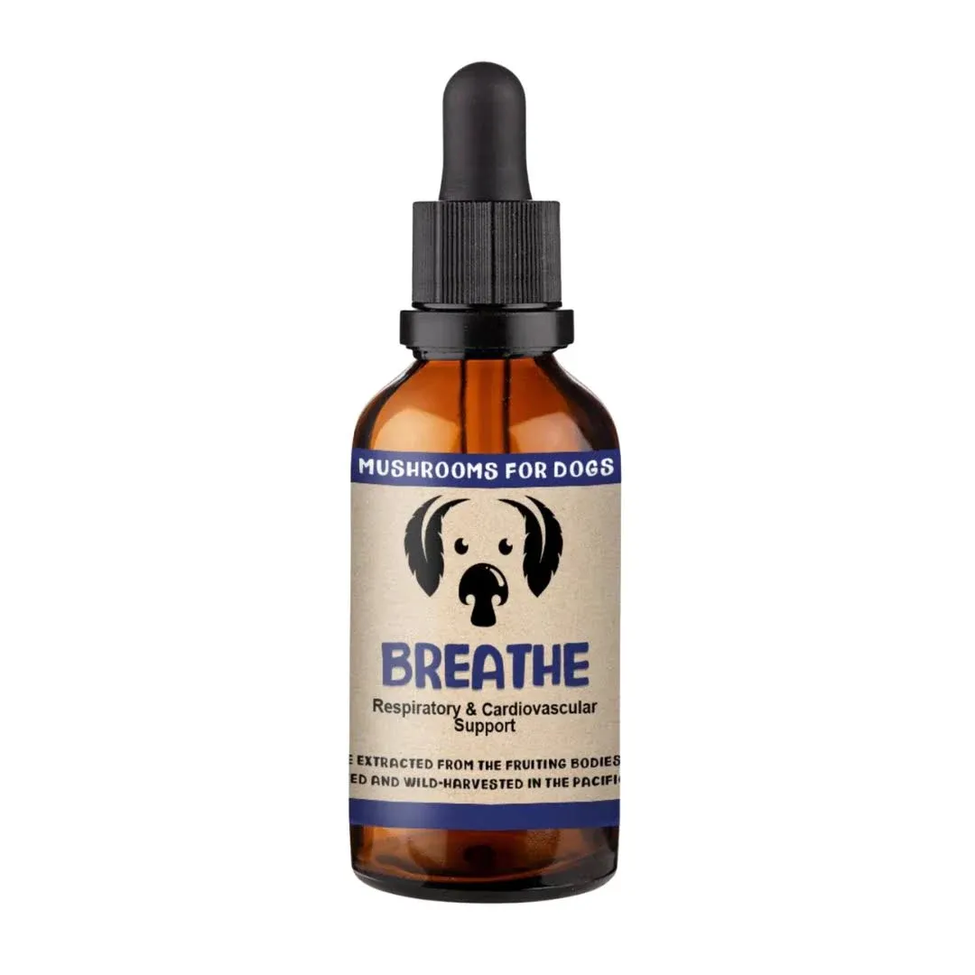 MycoDog Breathe Mushroom Extract & Adaptogen Tincture for Canines - Mushroom & Ashwagandha Supplements for Dogs with Breathing Challenges - Reishi Mushroom, Chaga, Cordyceps Mushroom & Artist Conk