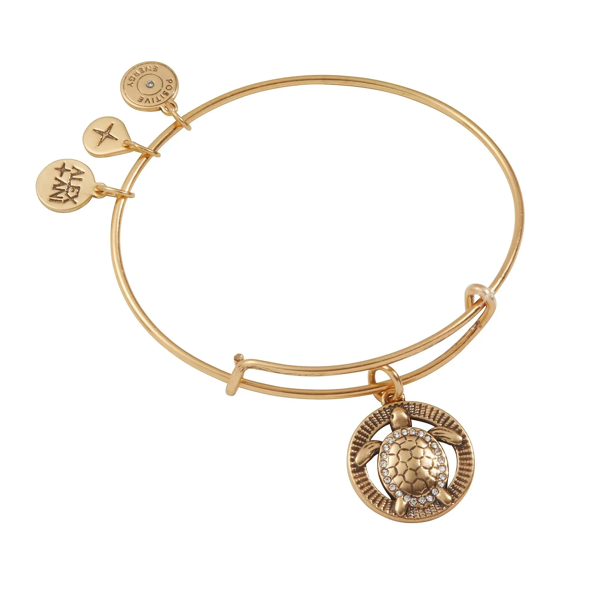 Alex and Ani Turtle Charm Bangle Bracelet