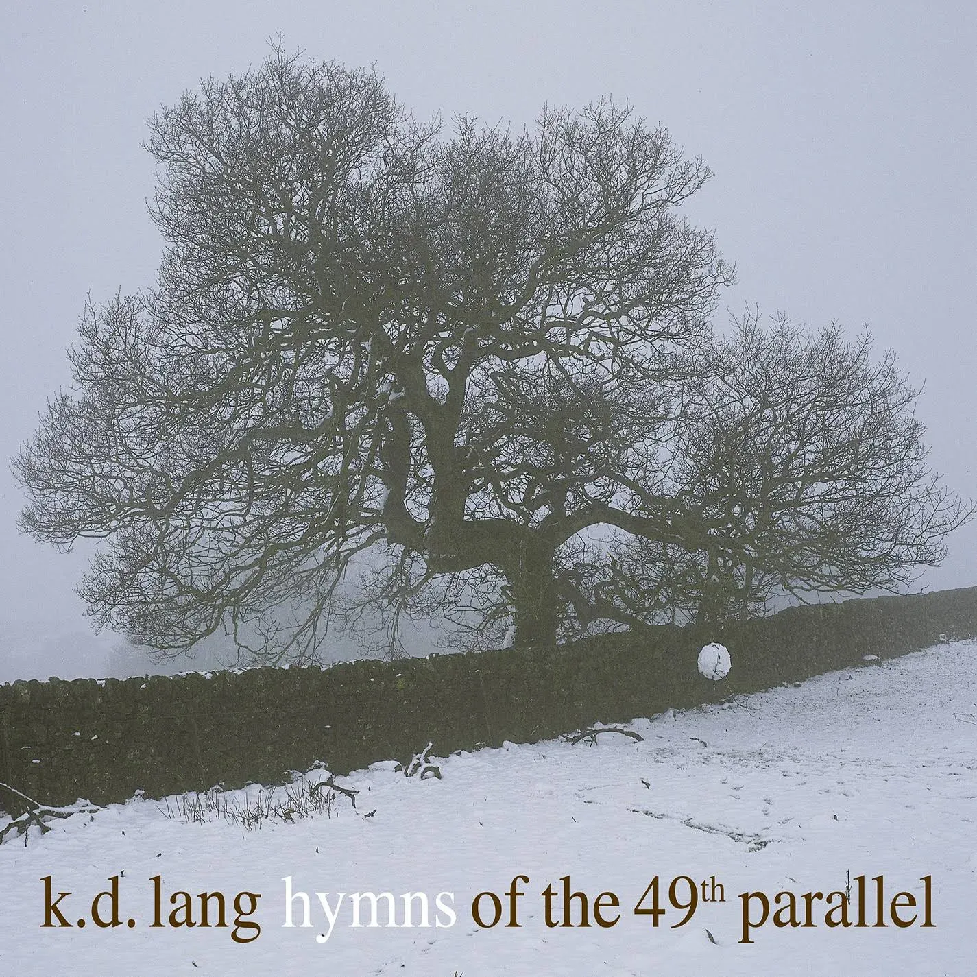 k.d. lang - Hymns of the 49th Parallel (CD, 2004) Nice! #0423ER