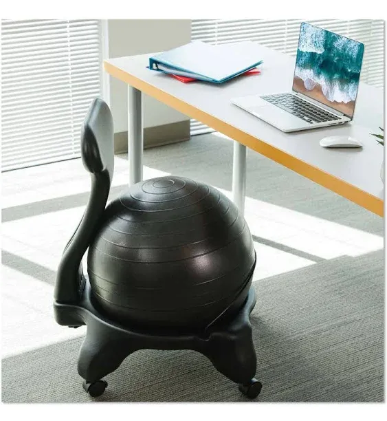 Modern Ball Chair