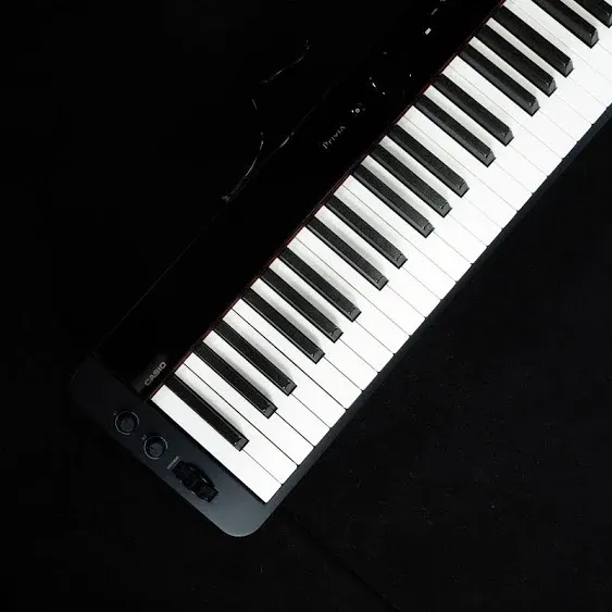 Casio, 88-Key Digital Pianos-Home (PX-S3100)