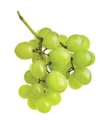 WD1 Green Seedless Grapes Fresh Produce Fruit per Pound