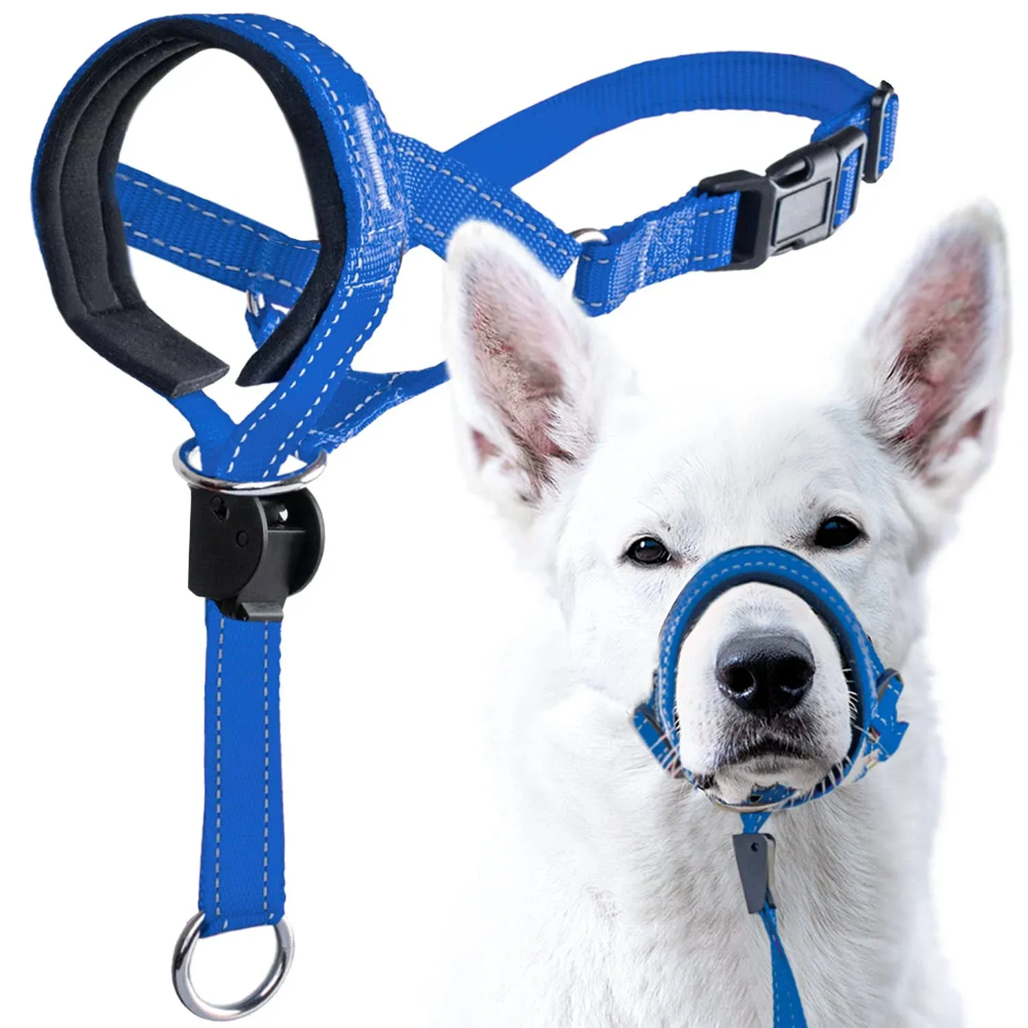 Goodboy Dog Head Halter with Safety Strap - Stops Heavy Pulling on The Leash ...