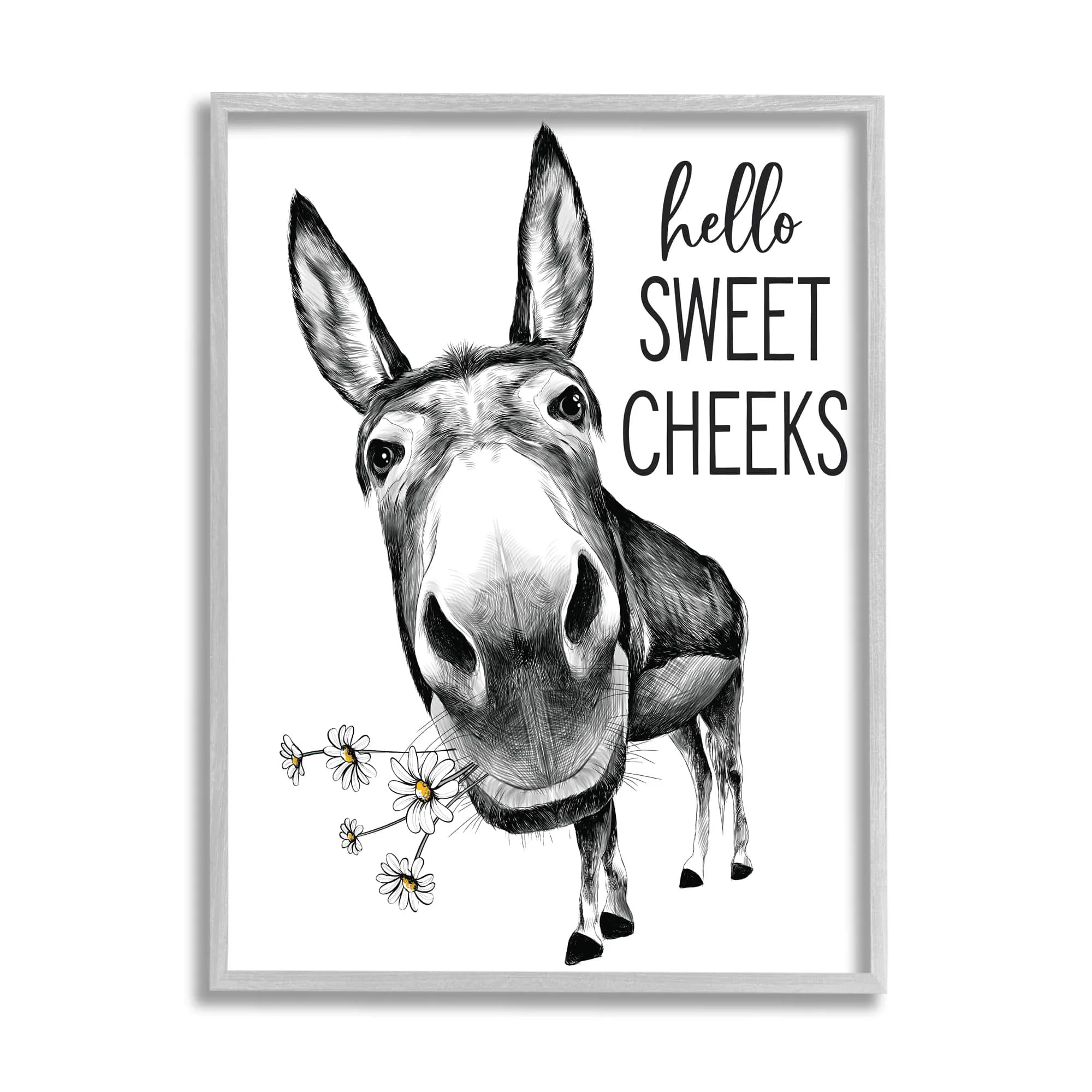 Stupell Industries Hello Sweet Cheeks Animal Humor Donkey Daisies Framed Wall Art