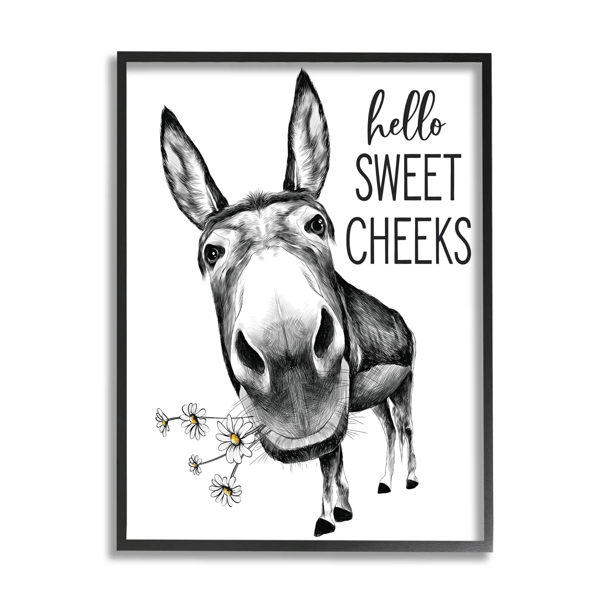 Stupell Industries Hello Sweet Cheeks Animal Humor Donkey Daisies Framed Wall Art