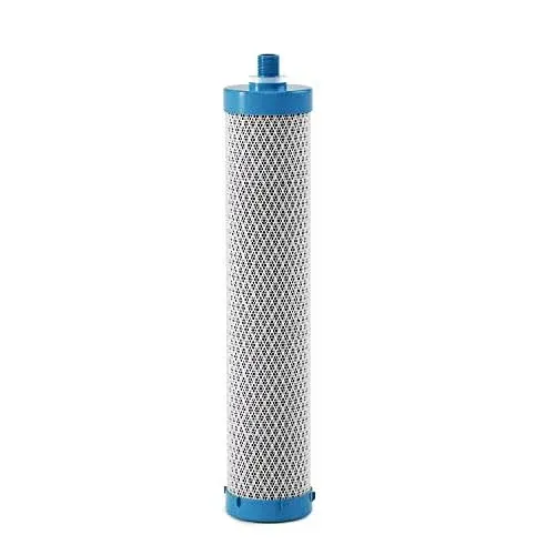 Frizzlife DSF01 Replacement Filter For DS99 & TS99 Countertop System