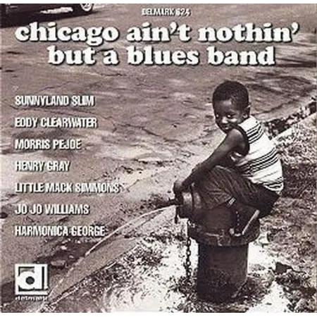 Chicago Ain t Nothin But a Blues Band / Various