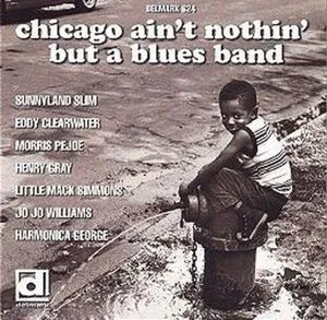 Various Artists, Chicago Ain't Nothin But a Blues Band /  Various