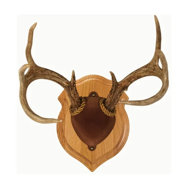 Walnut Hollow Country Deluxe Antler Display Kit