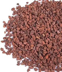 GASPRO 2.5lbs Lava Rocks for Plants, 1/5 Inch Red Gravel for Succulent, Cactus, Bonsai Tree, Pure Volcanic Rocks, Top-Dressing, Good Drainage