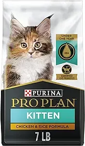 Purina Pro Plan FOCUS Chicken & Rice Formula Dry Kitten Food - 7 lb. Bags