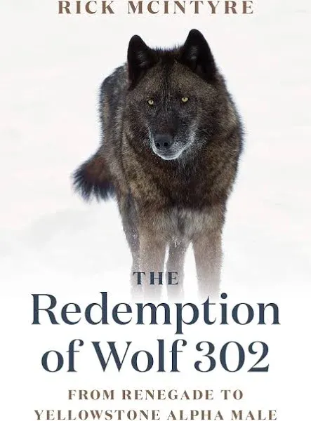 Rick McIntyre The Redemption of Wolf 302 (Gebundene Ausgabe)